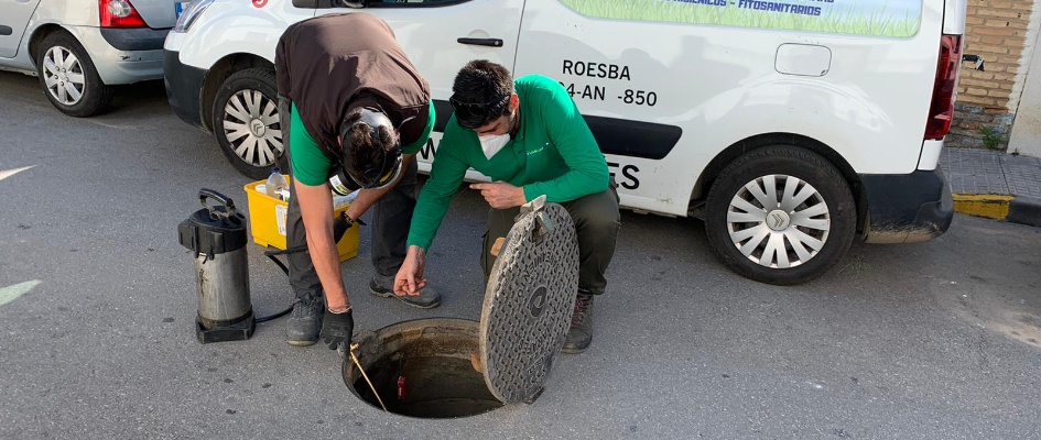 PLAN DESINFECCION MAYO 20 (3)