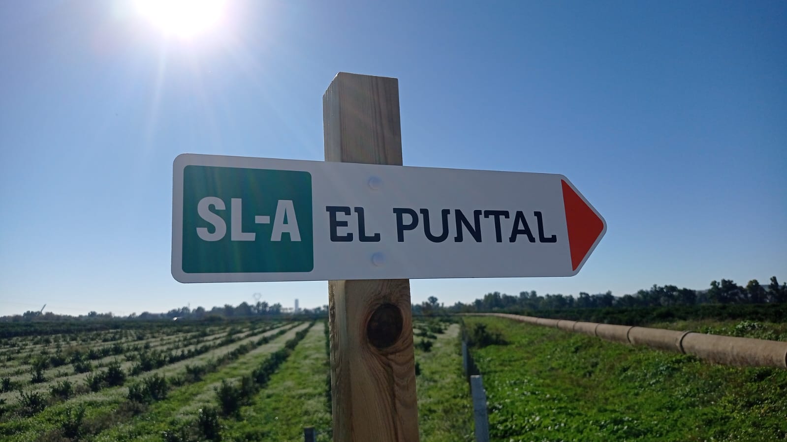 WhatsApp Image 2024-01-23 at 13.55.47