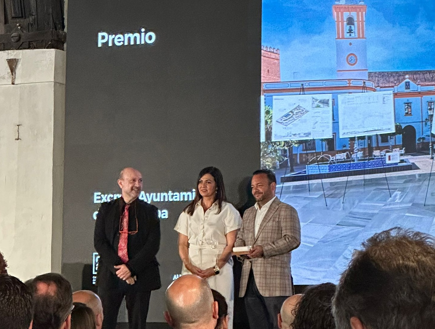 COLEGIO ARQUITECTOS PREMIO