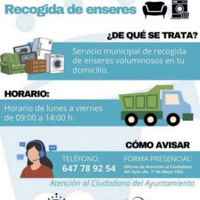 Recogida de enseres 3